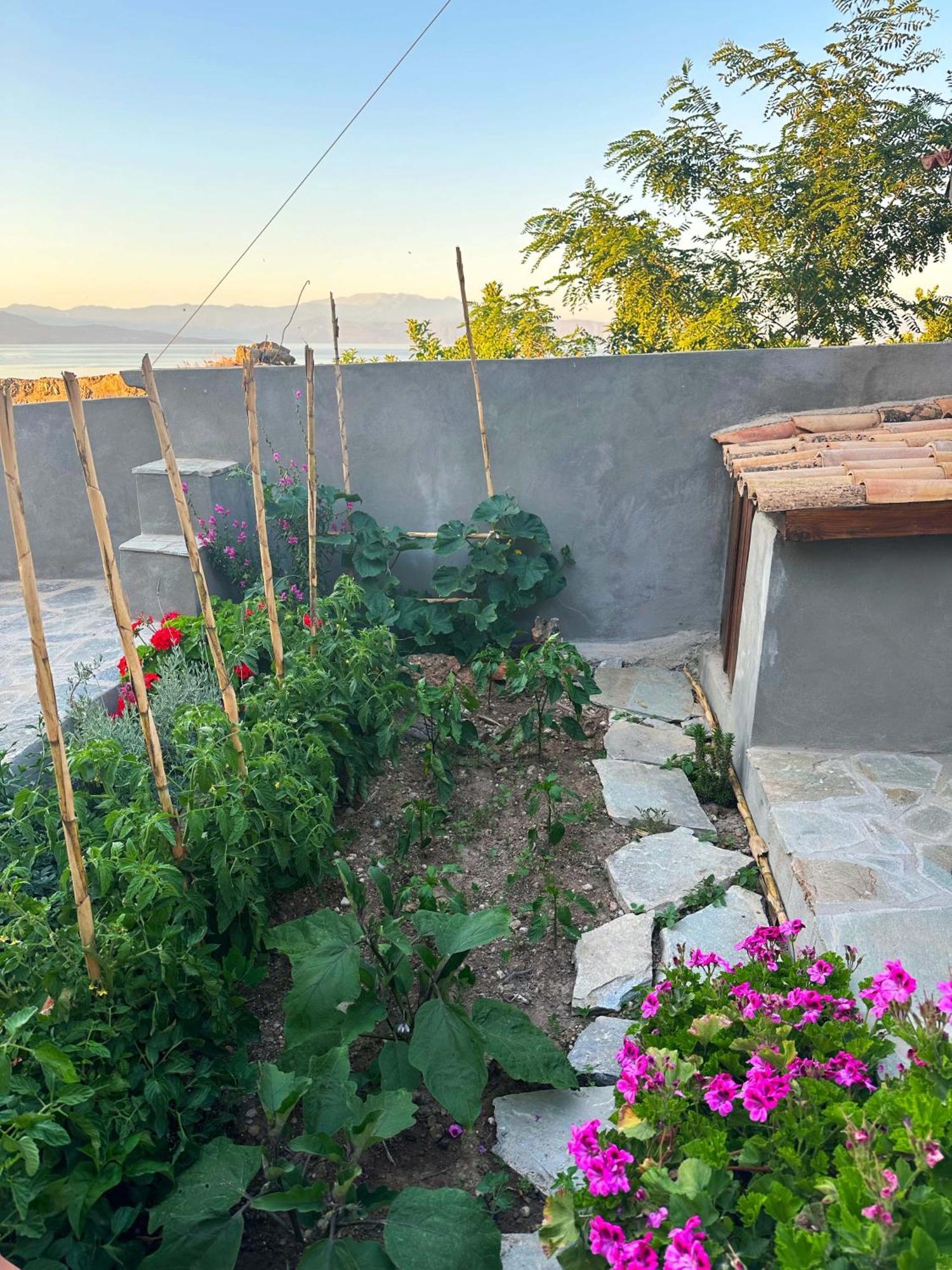 Apartament Fteri Stone House In Platanos, Akrata Zewnętrze zdjęcie